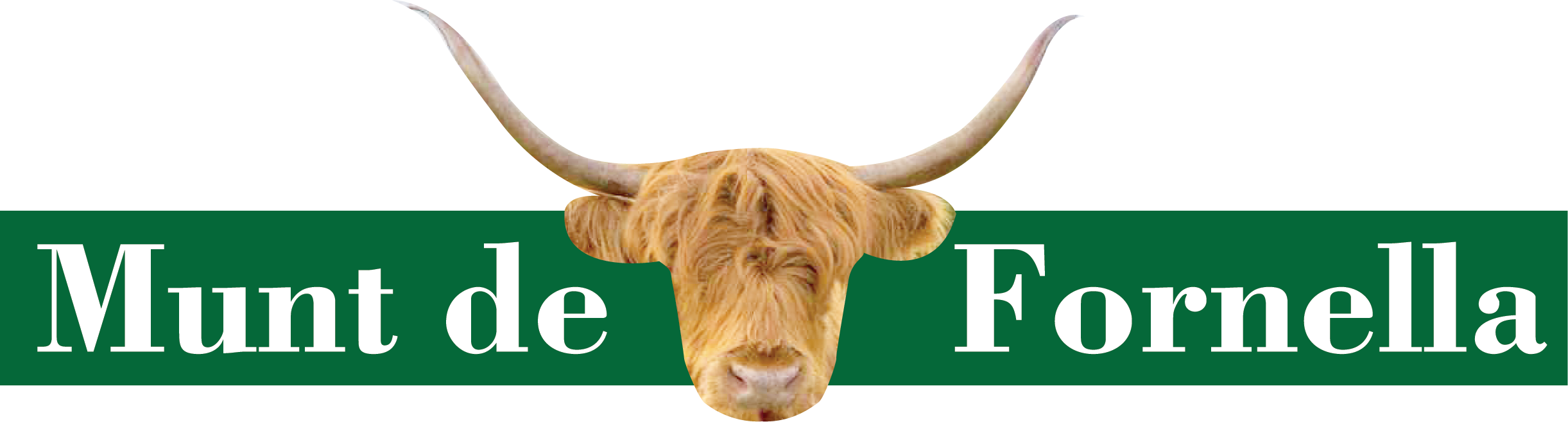 Sponsor